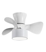 Ventilador de techo