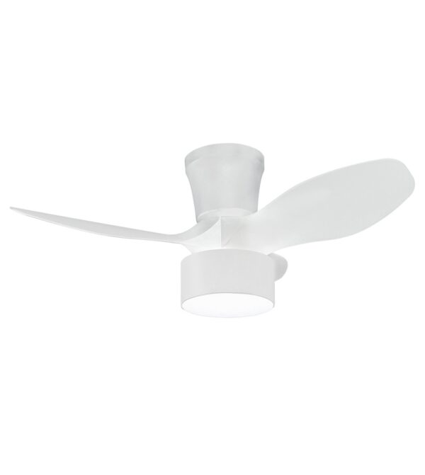 Ventilador de techo