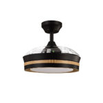 Ventilador de techo