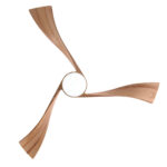 Ventilador de techo