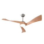Ventilador de techo