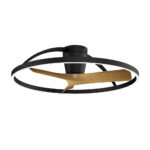 Ventilador de techo