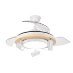 Ventilador de techo