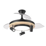Ventilador de techo