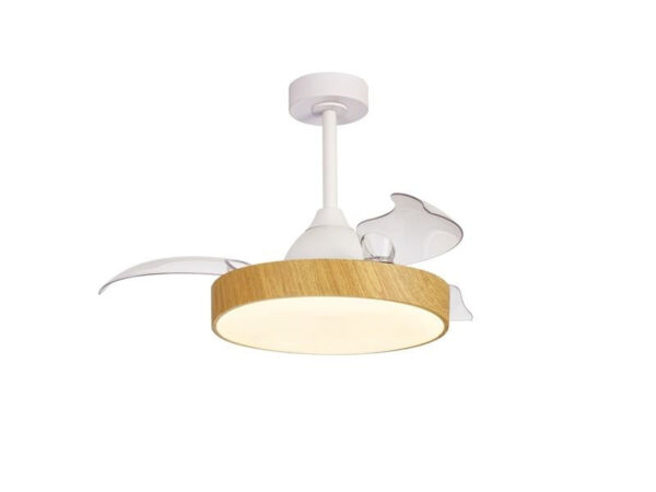 Ventilador de techo