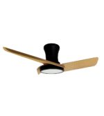 Ventilador de techo