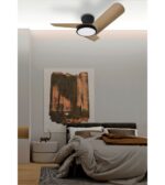 Ventilador de techo