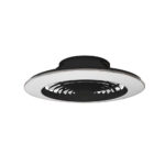 Ventilador de techo