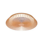 Ventilador de techo