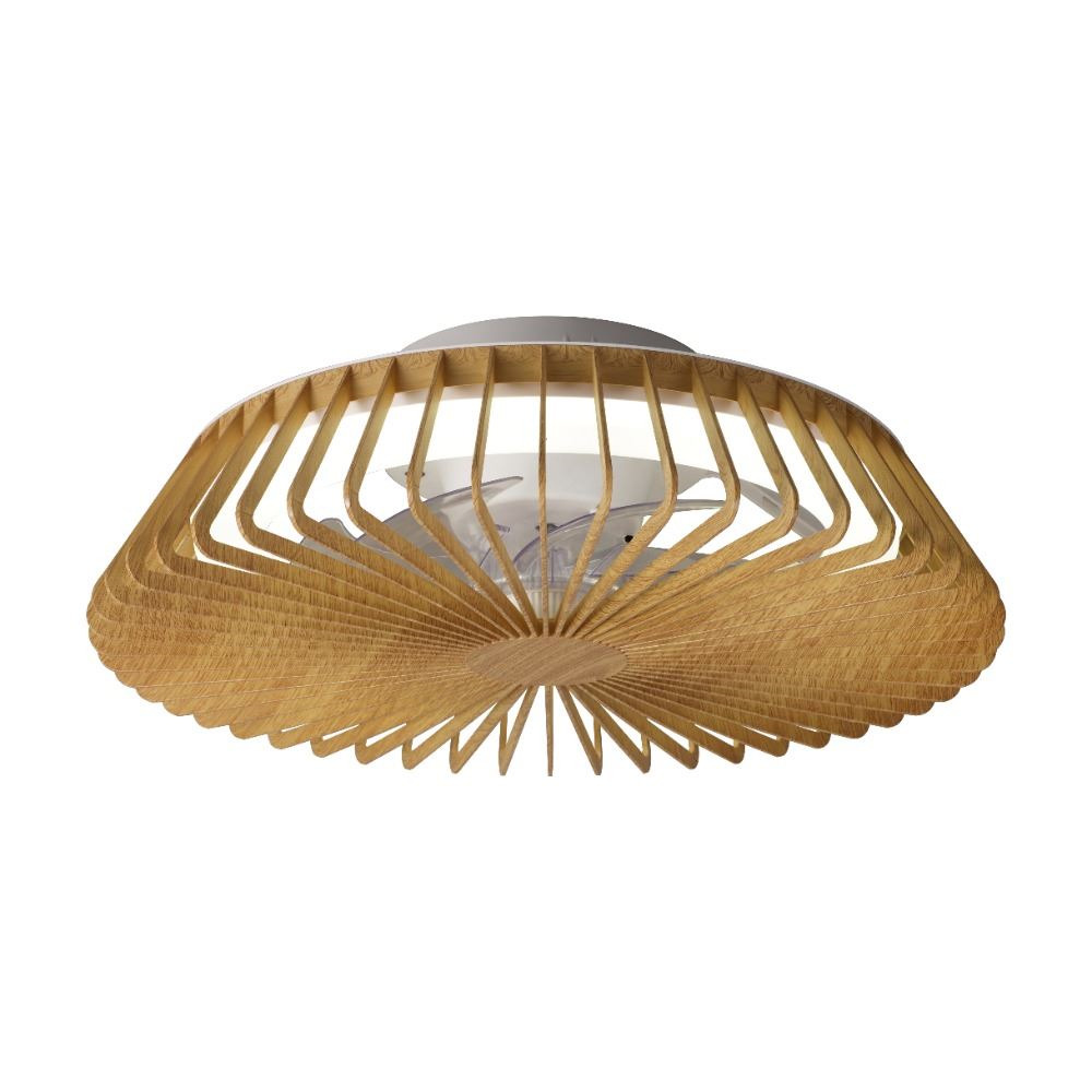 29 Ventilador de techo