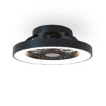 Ventilador de techo