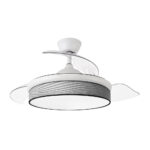 Ventilador de techo