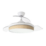 Ventilador de techo