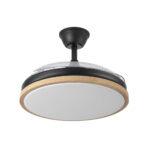 Ventilador de techo