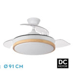 Ventilador de techo