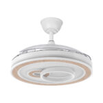 Ventilador de techo