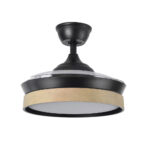 Ventilador de techo