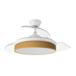 Ventilador de techo