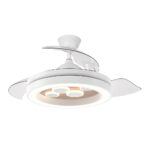 Ventilador de techo