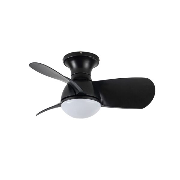 Ventilador de techo