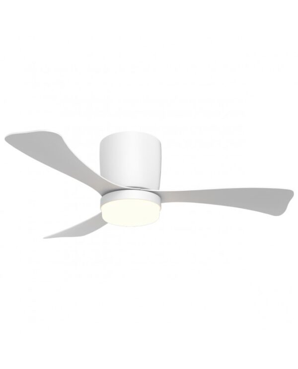 Ventilador de techo