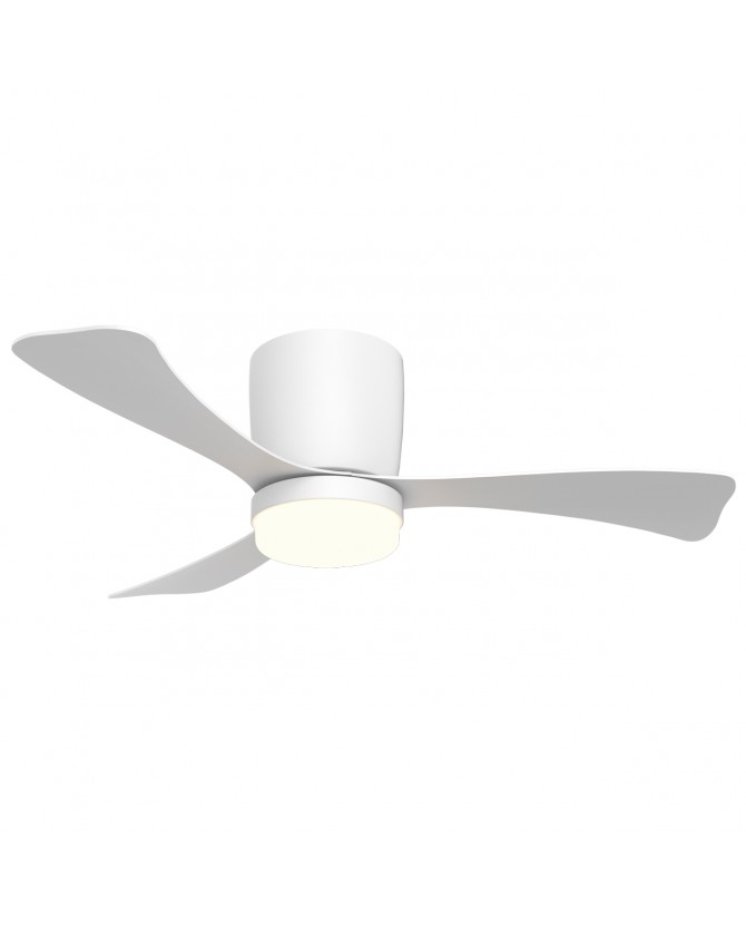 1 Ventilador de techo
