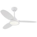 Ventilador de techo