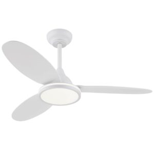 Ventilador de techo