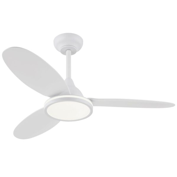 Ventilador de techo
