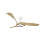 Ventilador de techo