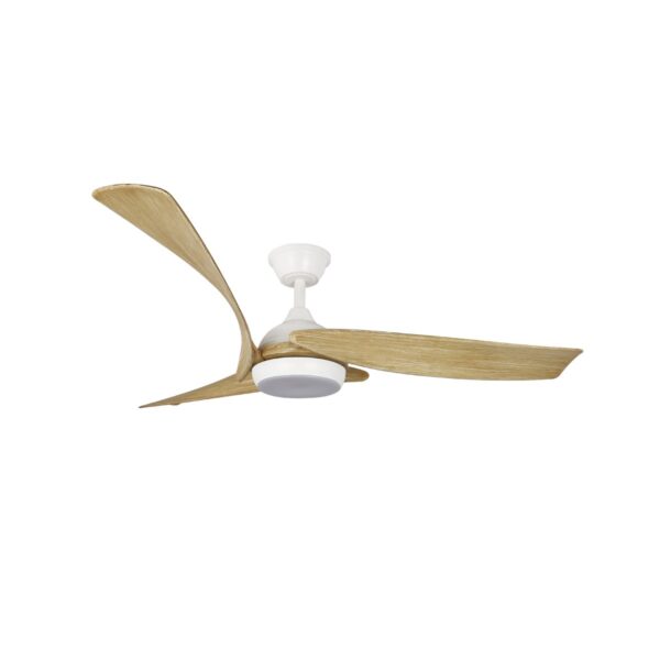 Ventilador de techo