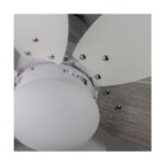 Ventilador de techo