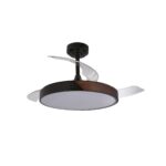 Ventilador de techo