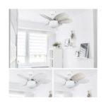 Ventilador de techo