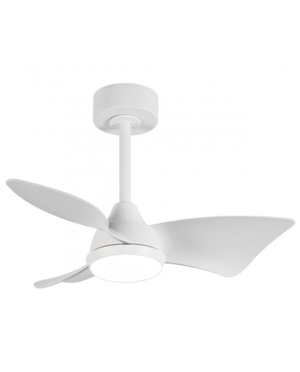 Ventilador de techo