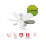 Ventilador de techo