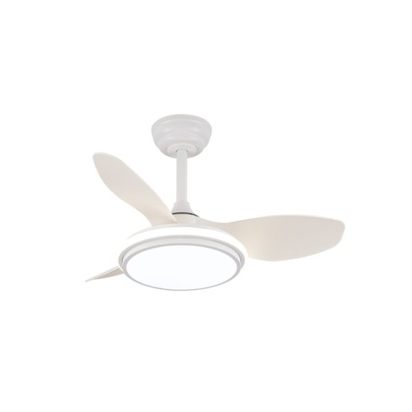 Ventilador de techo