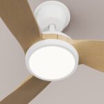 Ventilador de techo