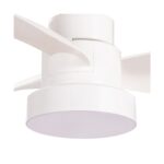 Ventilador de techo