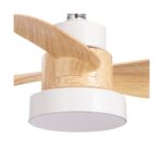 Ventilador de techo