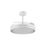 Ventilador de techo