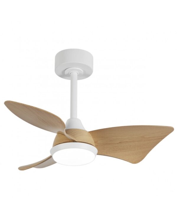 Ventilador de techo