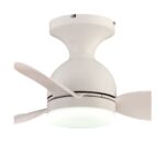 Ventilador de techo