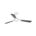 Ventilador de techo