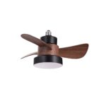 Ventilador de techo
