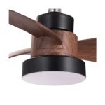 Ventilador de techo