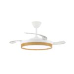 Ventilador de techo