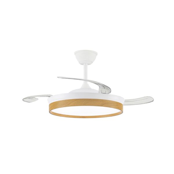 Ventilador de techo
