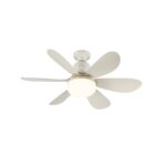 Ventilador de techo