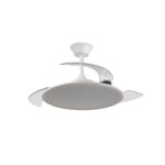 Ventilador de techo